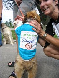 walking in memory of Scoobie