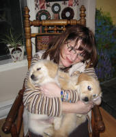 Suzi and puppies