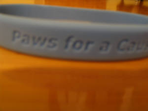 Paws for a Cause bracelet