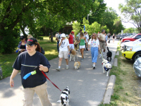 Walkers are off