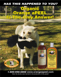 Orange aPeel