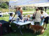 Silent Auction Booth